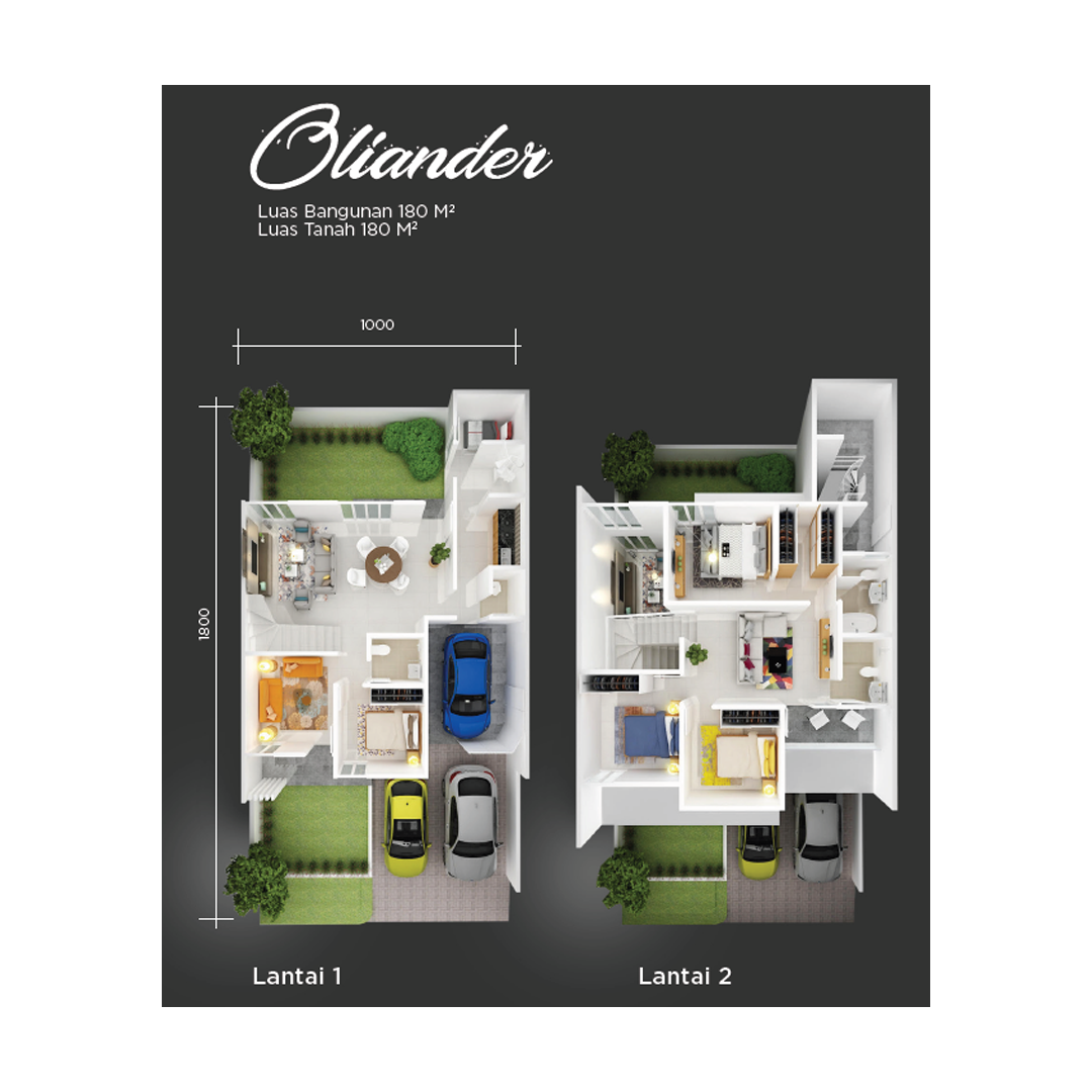 Layout Oliander